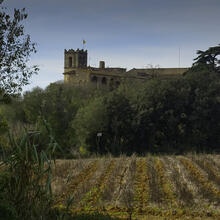 Rutes a Medinyà