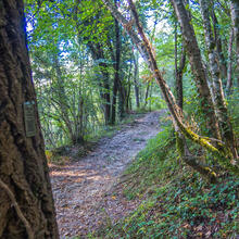 Ruta-Joc del Camí Ral. L'Esquirol.