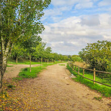 RUTA ADAPTADA DELS MINIONETS. VILANOVA DEL CAMÍ