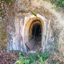 RUTA DE LA VINYA I ELS XAMPINYONS. SANT CEBRIÀ DE VALLALTA