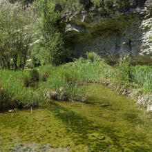 Ruta-joc per conèixer la natura a Calders