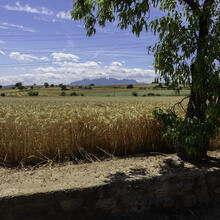 Ruta SFB5. Cap a Sant Iscle i els Plans de Santa Anna. Sant Fruitós de Bages