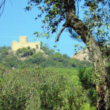 Castell de Farners dalt del seu turó de granit, objectiu de la ruta