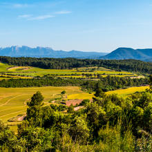 Paisatge agrícola amb vista a Montserrat. Santpedor.