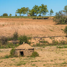 Ruta de Sant Benet. Navarcles.