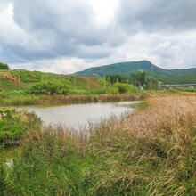 RUTA JOC DELS ESGAVELLATS. VILANOVA DEL CAMÍ