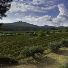 Rutes a Sant Martí Sarroca