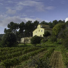 Rutes a Sant Martí Sarroca