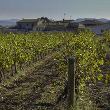 Rutes a Sant Martí Sarroca