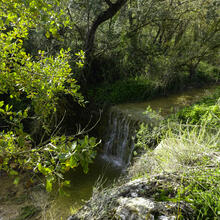 Rutes Sant Martí Sarroca