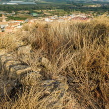 RUTA 2 A MONTMANEU PER LA VALL LA DONA. LA GRANJA D'ESCARP