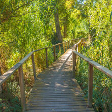 RUTA 3 EL MEANDRE DEL SEGRE. LA GRANJA D'ESCARP