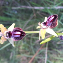 Rutes de natura calders