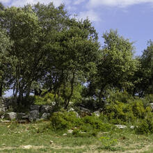 Rutes de natura calders