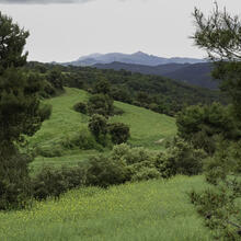 Rutes de natura calders