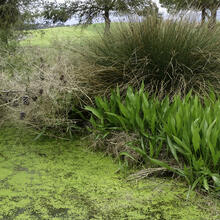 Rutes de natura calders