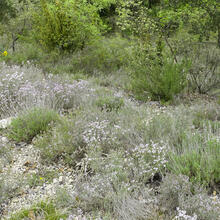 Rutes de natura calders