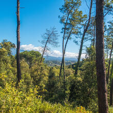 RUTA JOC DE LES SERRES I LES GUINEUS. VILALBA SASSERRA
