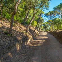 RUTA AL CIM DEL MONTALT. SANT VICENÇ DE MONTALT