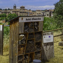 Rutes a St Fruitós de Bages