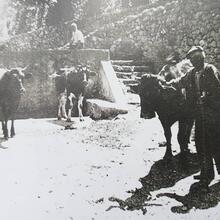 Un passeig pel passat a Sant Julià de Cerdanyola