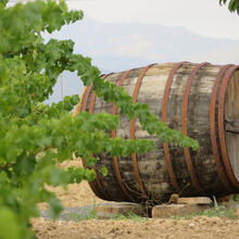 Celler Can Casals. Sant Esteve Sesrovires