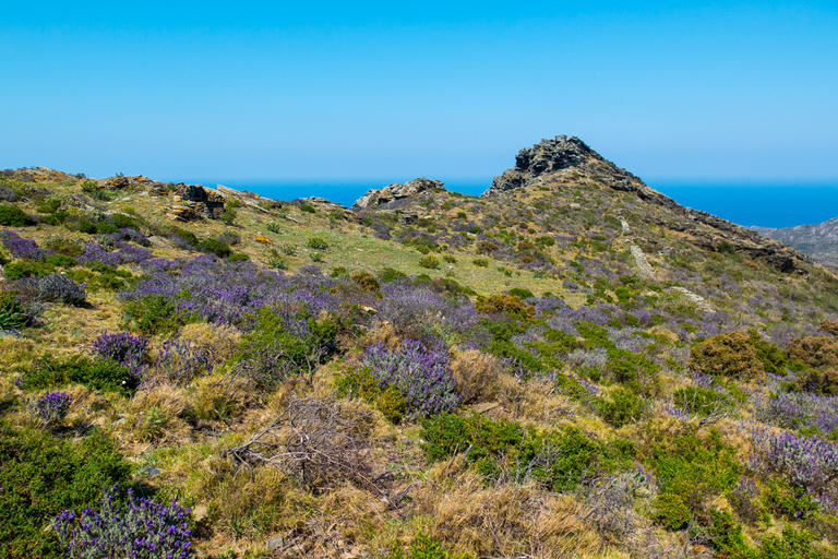 Prats i pastures al Parc Natural del Cap de Creus.