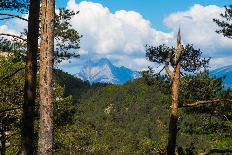 Vistes al Pedraforca. El Catllaràs. La Pobla de Lillet.