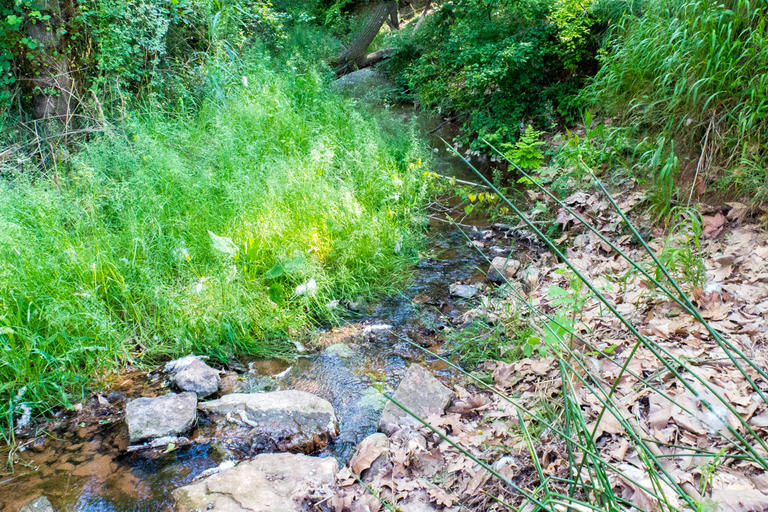Font de Brugueroles. Santpedor.