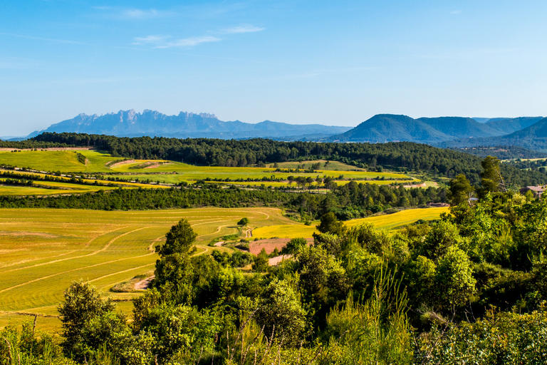 Paisatge agrícola amb vista a Montserrat. Santpedor.
