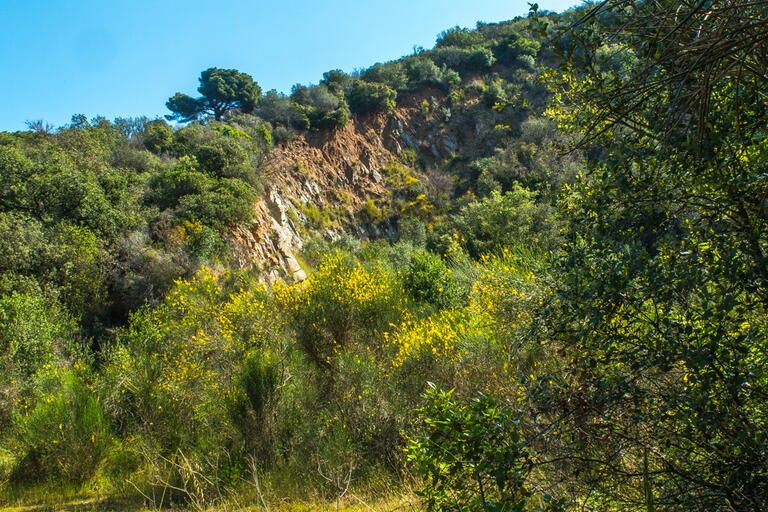 Ruta-Joc dels Ibers. Santa Maria de Martorelles