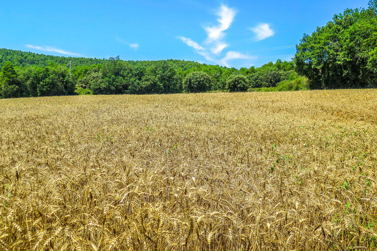 Ruta-Joc del Castell de l'Espunyola, L'Espunyola