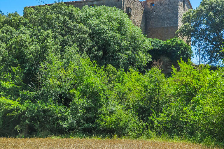 Ruta-Joc del Castell de l'Espunyola, L'Espunyola