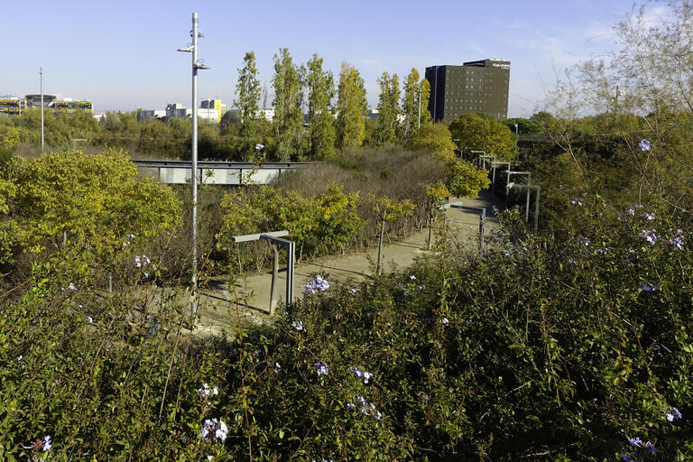 RUTA 8. Itinerari pels parcs urbans. Viladecans