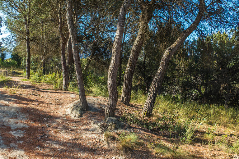 RUTA DE LES ERMITES ROMÀNIQUES. MARGANELL