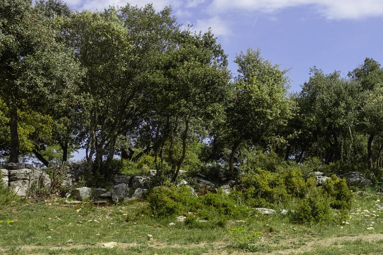 Rutes de natura calders