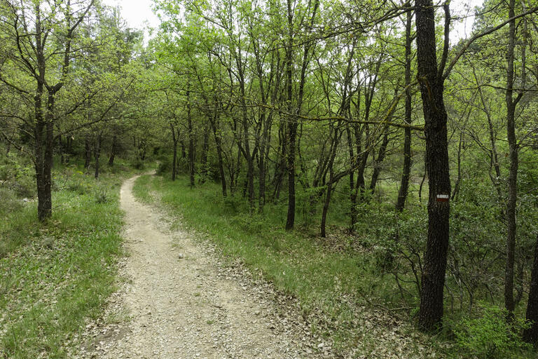 Rutes de natura calders