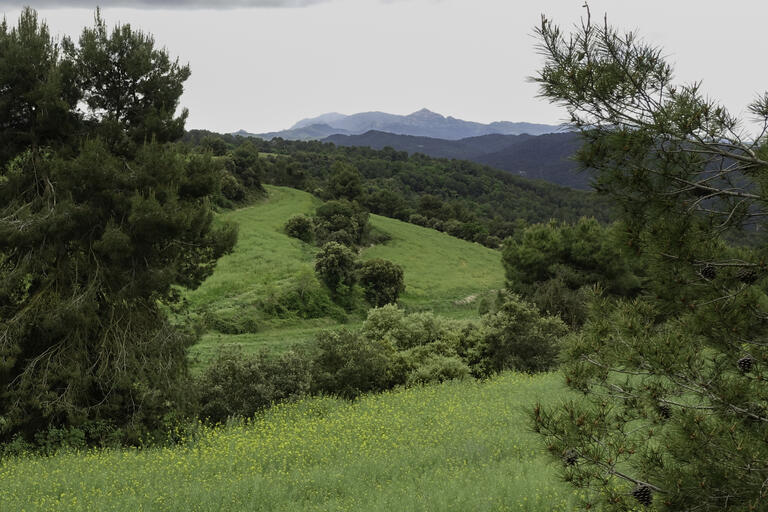 Rutes de natura calders