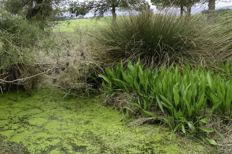 Rutes de natura calders