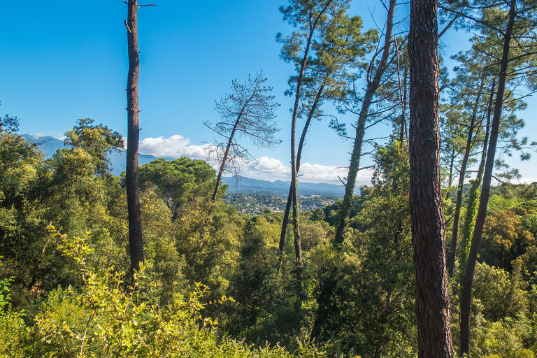 RUTA JOC DE LES SERRES I LES GUINEUS. VILALBA SASSERRA