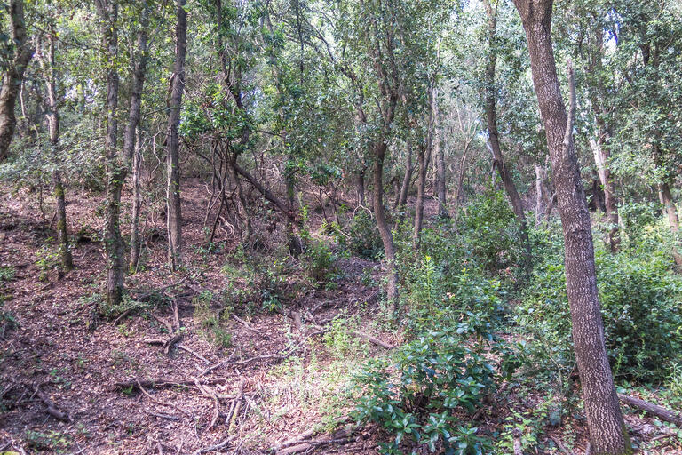 RUTA ROCS DE MORO. SANT VICENÇ DE MONTALT