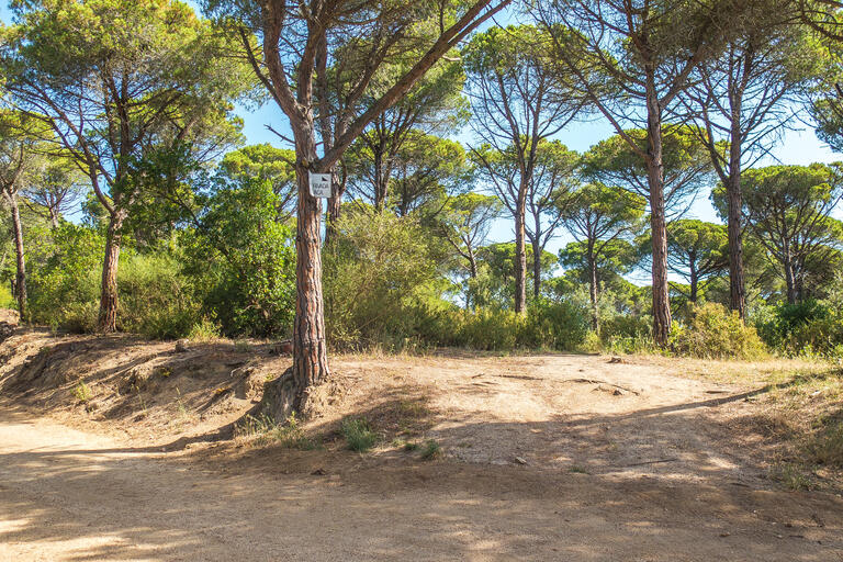 RUTA ROCS DE MORO. SANT VICENÇ DE MONTALT