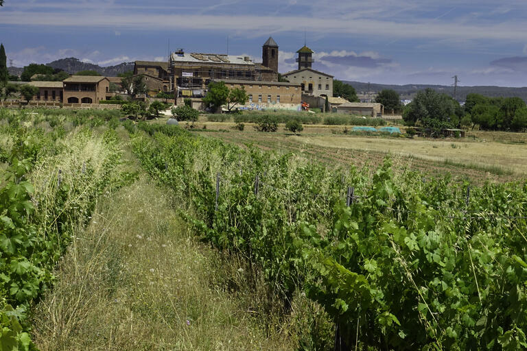 Rutes a St Fruitós de Bages