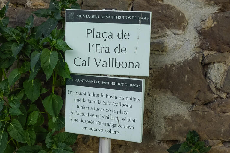 Museu “La memòria de la vinya i el vi”