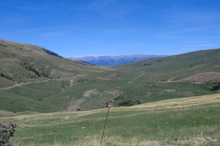 Pla d'Anyella des del coll de la Creueta, Toses