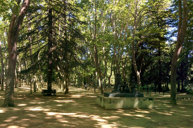 Passeig amb plàtans alts al Parc de Sant Salvador de Santa Coloma de Farners