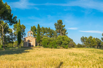 Sant Salvador de Torre Abadal. Santpedor.