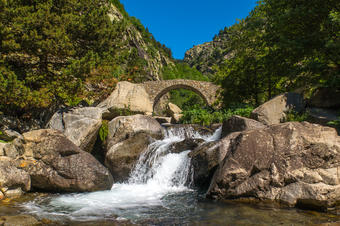Pont de Cremal. Camí Vell de Queralbs a Núria. Parc Natural de Capçaleres del Ter i el Freser.