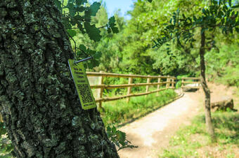 Ruta Patrimoni i Entorn de Balsareny