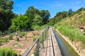 Ruta Patrimoni i Entorn de Balsareny